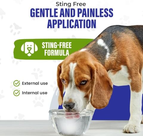 Holistic Pet Care Colloidal Silver for Dogs, Cats, Horses & Birds – 20 PPM Wound Care, Hot Spot Treatment, Skin Relief & Immune Support – All-Natural Pet Colloidal Silver Solution, with Syringe (32oz)