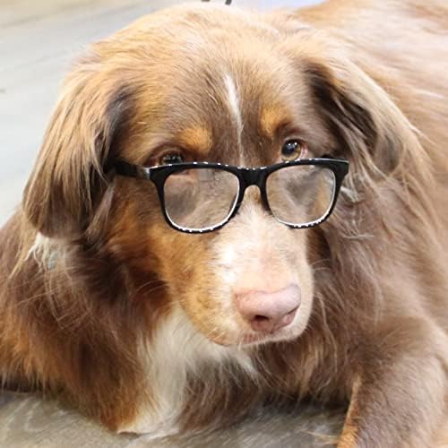 G003 Dog Glasses Medium Breeds 18-40lbs Pet Cat Retro Hipster Nerd Costume Prop Clear Lens (80s Black-Clear)