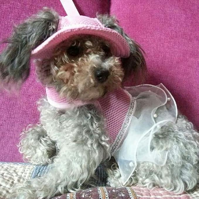Round Brim Princess Hat Visor Hat Pet Dog Mesh Porous Sun Hat with Ear Holes for Small, Extra Small Dog Teddy, Pug, Chihuahua, Shih Tzu, Yorkshire Terriers, Papillon Pink M