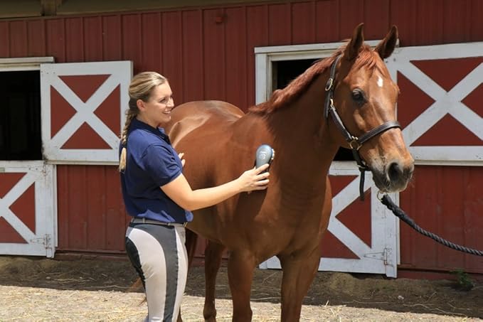 Oster Equine Care Series Finishing Brush, Soft Bristle, Natural Hog Hair, Blue