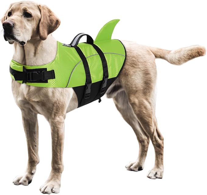 Queenmore Ripstop Dog Life Jacket Shark Life Vest for Dogs, Safety Lifesaver with High Buoyancy and Lift Handle for Small and Medium Breeds(Green S)
