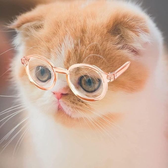 Nerd Glasses, Black Pet Dog Cute Glasses Clear Lens Retro Glasses Photo Props Transparent Cat Sun Glasses for Small Dogs Cats Cosplay Costume