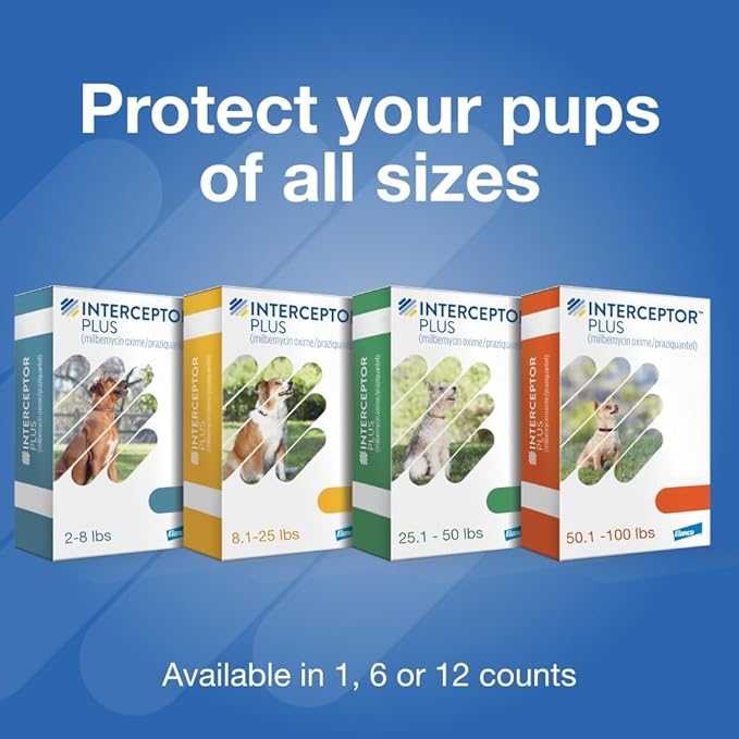 Interceptor Plus Prevention for Heartworm + 4 Other Worms for Dogs 2-8 lbs. | 1 Chew, 1-Month Supply
