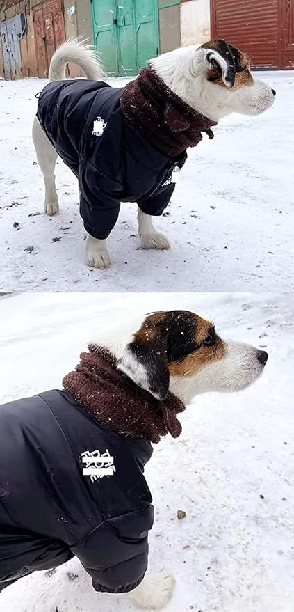 Dog Winter Coat Duck Down Jacket for Small Medium Dogs-Thicken Dog Coat Windbreaker Puppy Winter Clothes for Cold Weather Snowday (Black, Small)