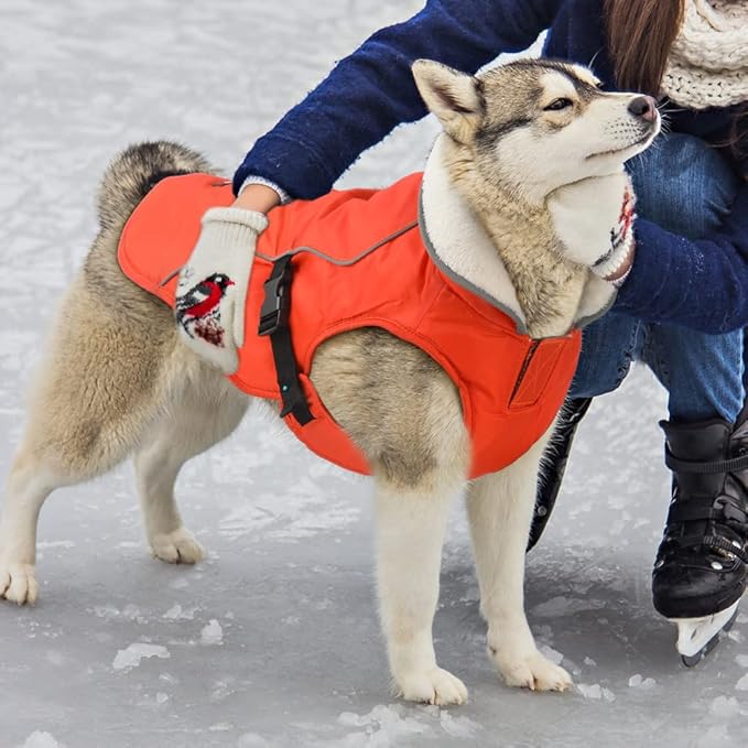 EMUST Winter Dog Jacket, Windproof Dog Apparel for Cold Weather, Reflective Coats for Dogs, Warm Puppy Jacket for Cold Winter, Orange, S