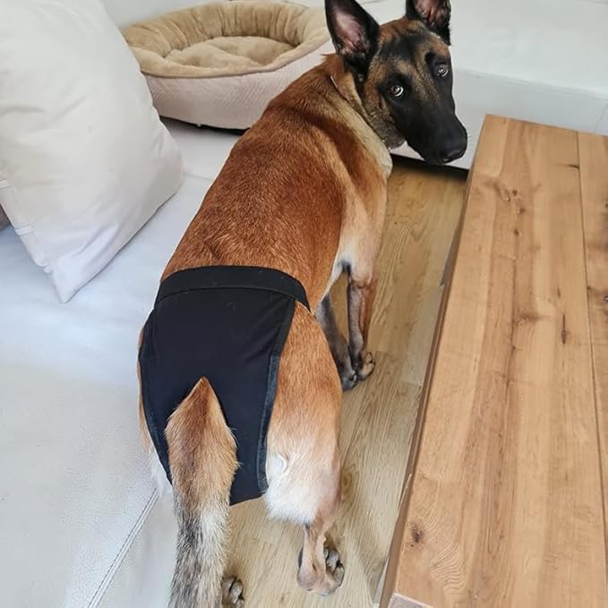 XXL Dog Diapers Female Dog Pant,Breathable Mesh Washable Extra Large Dog Diapers Female Beige+Gray XXL