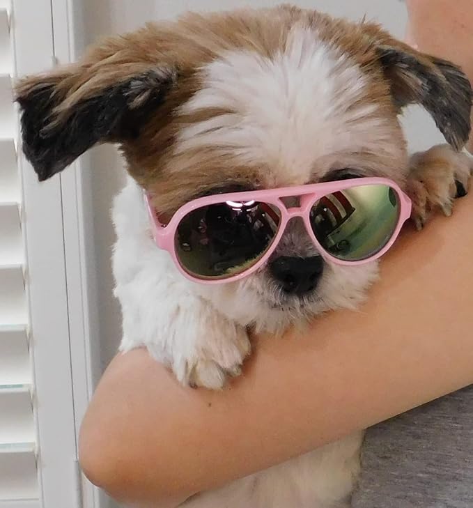 G029 Dog Cat Pet Aviator Sunglasses Glasses for Small Breeds up to 15lbs (Pink-Pink Mirror)