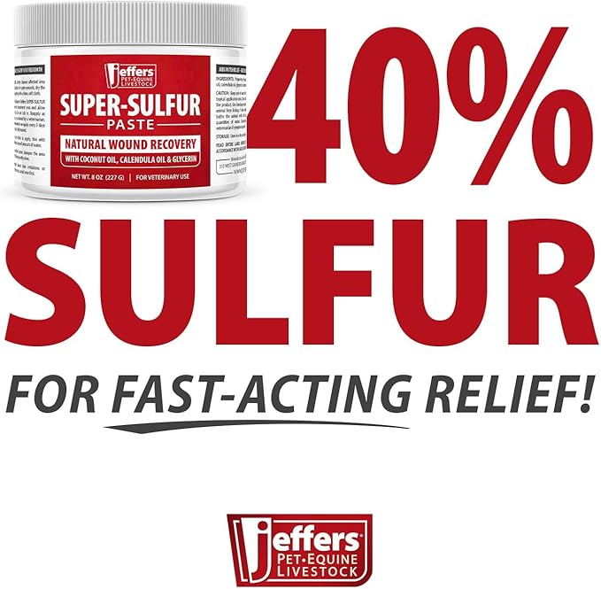 Jeffers Super Sulfur Natural Healing Paste for Dogs, Cats & Horses 8 oz – Wound Care, Skin & Coat Support for Animals, Soothes Itching & Inflammation, Dry Rough Flaky Skin, Hot Spots, Paw, Hoof Care
