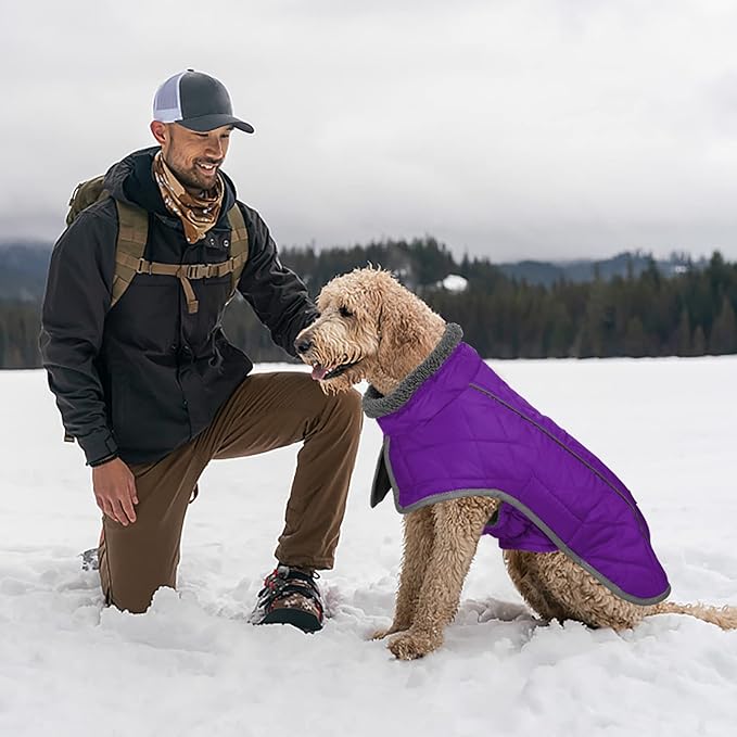 Fragralley Dog Coat Small, Waterproof Dog Jacket with Warm Fleece Lining, Adjustable Reflective Dogs Winter Coat, Turtleneck Pet Coats for Cold Weather (Purple S)