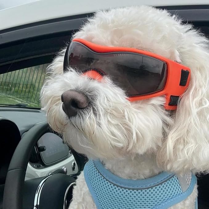 NAMSAN Dog Sunglasses Medium Breed, UV Protection Goggles for Small to Medium Dogs, Windproof Anti-Fog Snowproof Puppy Glasses, Easy Wear/Adjustable, Cool Orange