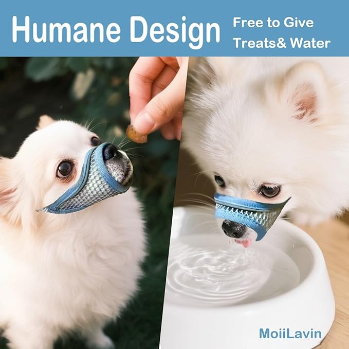 Dog Muzzle for Small Medium Dogs to Prevent Biting for Short Snout Dogs,Maltese,Miniature Schnauzer,Jack Russel Terrier,Soft Breathable Lightweight Mesh,Open Front for Grooming Vet Visits (Blue, S-)