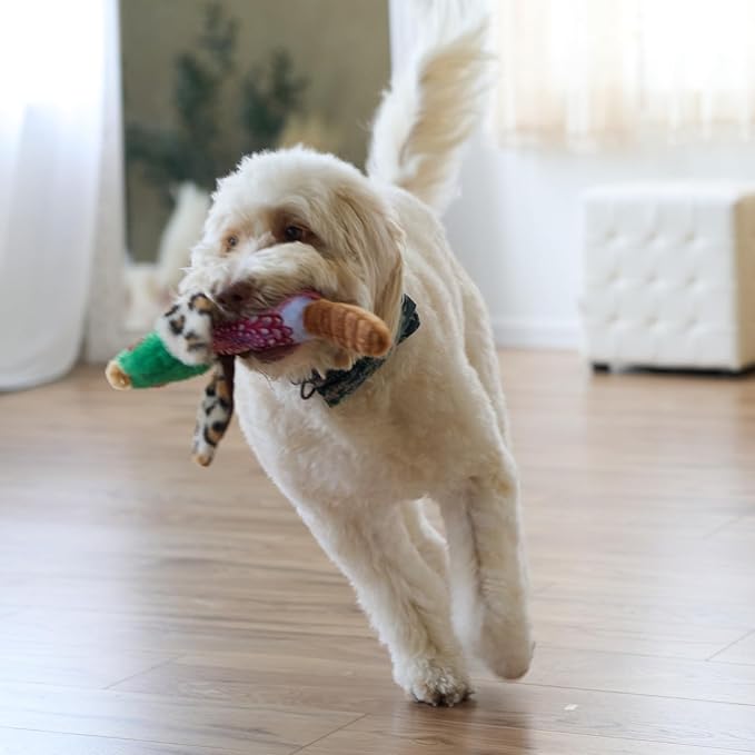 SPOT Bird Calls Plush Dog Toy with Realistic Bird Sound – 12" Sound Chip Toy for Dogs, One of Three Assorted Styles, Engaging Indoor Play for Small and Medium Breeds