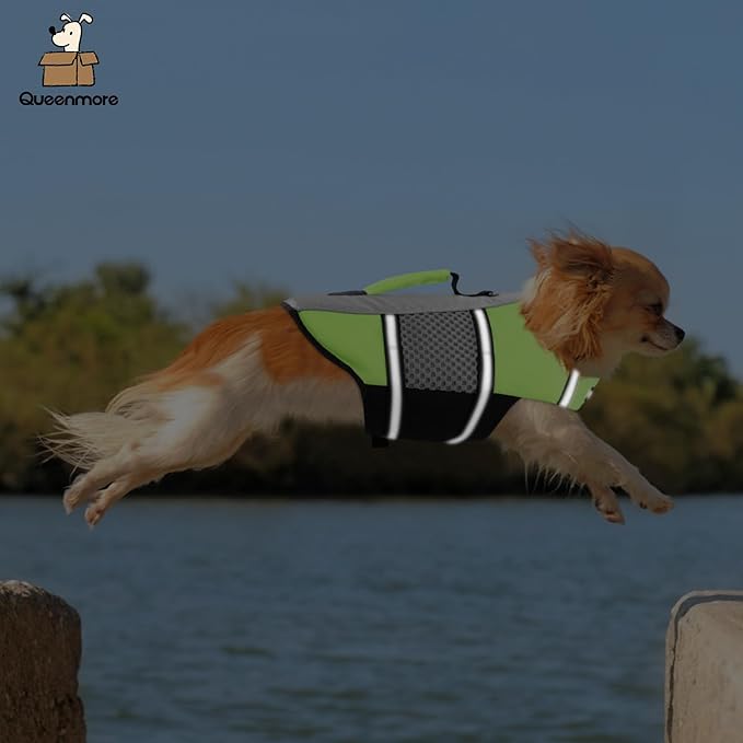 Queenmore Dog Life Jacket Small Float Vests for Swimming Boating Kayaking Mediumn Puppy Dogs Cats Neoprene Life Preserver Pet Water Lifesaver Lightweight Reflective Green,XS