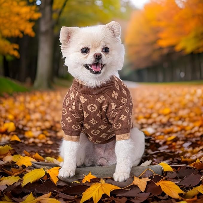 Luxury Dog Sweater – Soft Knit Designer Pet Outfit for Small Dogs & Puppies, XS–L, Stylish Warm Clothing for Yorkies, Chihuahuas, Dachshunds, Maltese, French Bulldog