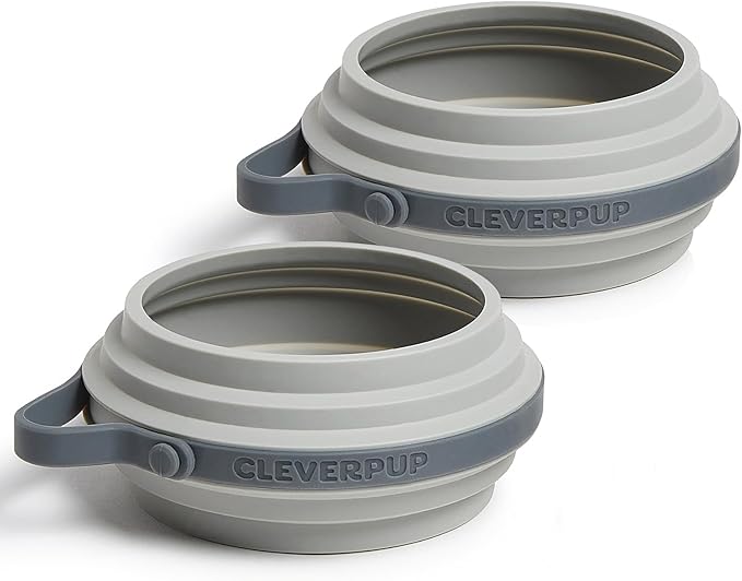 Cleverpup Small 7-Piece Bistro Box Dog Food Travel Kit, 6-Cup BPA-Free Kibble Storage, 2 Silicone Bowls, Mat & Scoop - Portable Pet Food Kit for Weekends, Overnights, Daycare & Camping, Graphite