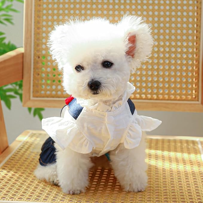 ANIAC Denim Small Puppy Dress 3D Flowers Girl Dog Clothes with D-Ring and Pocket Female Cat Harness Dresses Cute Shih Tzu Yorkies Chihuahua Outfits Summer Pet Clothing (X-Small)