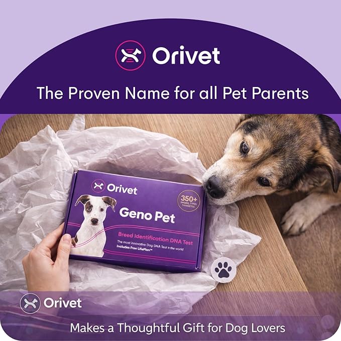 ORIVET Dog DNA Test Kit – Comprehensive Dog DNA Test Kit for Over 330+ Breed Identification | At Home Dog DNA Kit with Canine Genetic Testing & Life Plan Genopet