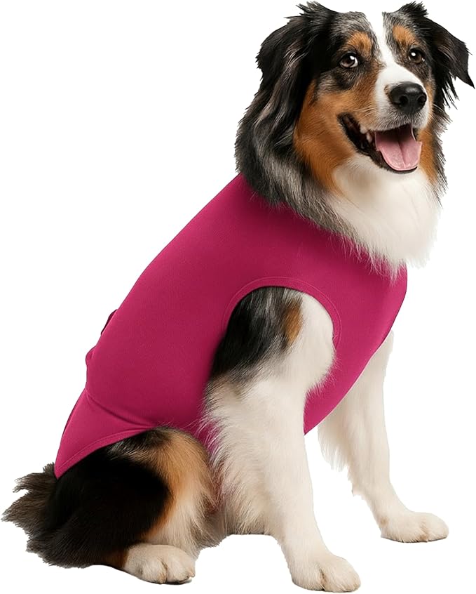 SurgiSnuggly Disposable Dog Diapers Female or Male Dogs, Great Cover for Female Dog Diapers for Heat Cycle and Better Than Dog Suspenders- Wrap Around Legs for Superior Fit LL Pink