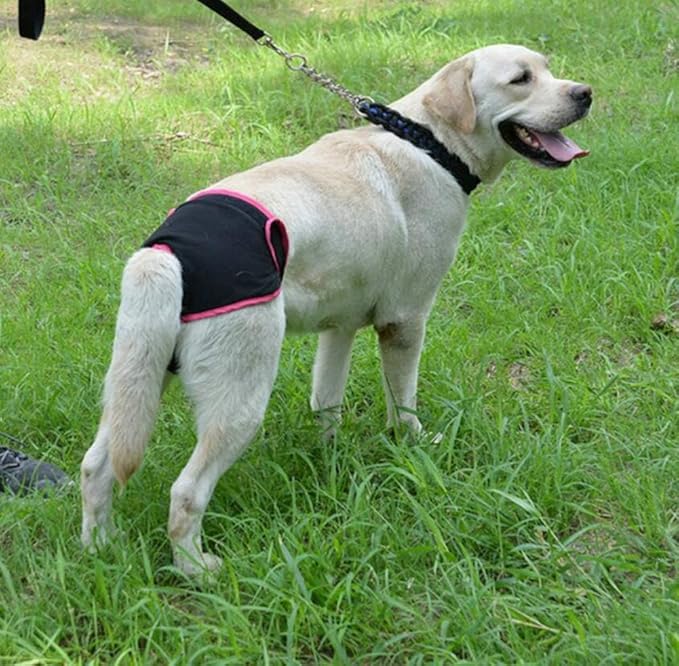 Dog Sanitary Pant,Breathable Cotton Washable Female Dog Diaper Dog Suspender Nappy Menstrual Underwear Pants for Girl Female Dog Menstruation and Avoid Harassment (S)