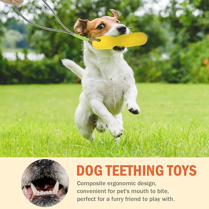 SCENEREAL Floating Dog Toys for Water Fetch, 8.5" Dog Water Toy for Medium Large Dogs, Tough Interactive 2 Pack Fetch Bumpers with Durable Rope for Summer Training Teething Outdoor Pool