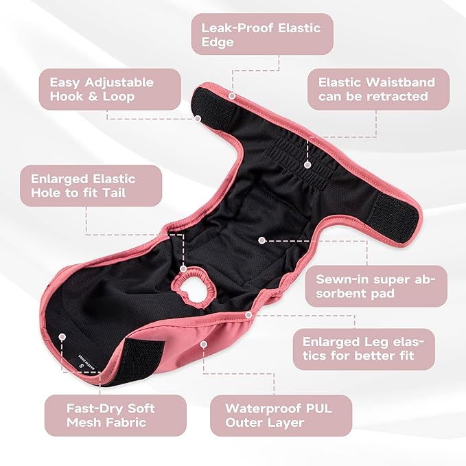 Paw Legend Washable Reusable Female Dog Period Diapers for Heat Doggie Puppy Diapers for Female Dogs (3 Pack,Large)