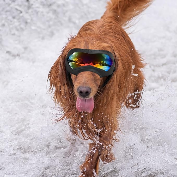 Dog Goggles, UV Protection, Windproof, Dustproof, Anti-Fog Dog Sunglasses for Large & Medium Dogs, Lightweight TPE Frame with Adjustable Strap, Stylish Outdoor Protection (Black Frame Color Lens)
