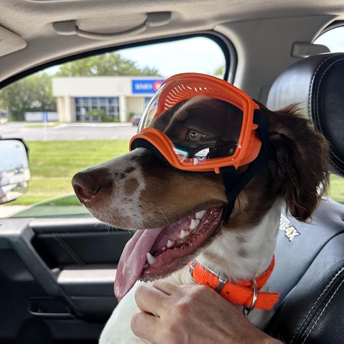 PETLESO Dog Goggles for Large Breed, Clear Dog Sunglasses Anti-UV Wide View Medium Large Pet Eye Protection for Driving Riding Hiking, Adjustable Straps, Orange