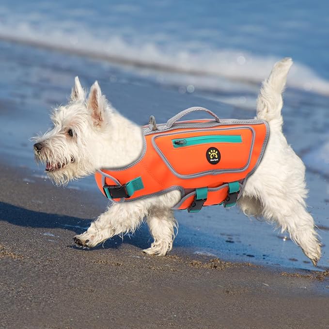 Dog Swimming Vest with D-Ring, Lightweight Dog Life Vests for Boating, Reflective Dogs Lifejackets Swimsuit Neoprene Pet Safety Jacket with Rescue Handle for Small Dogs, Orange, S