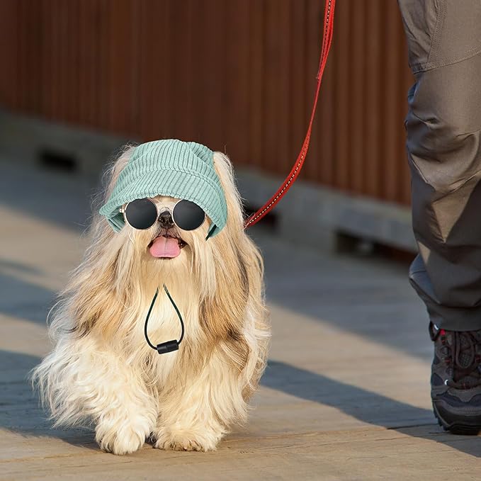 Jadive Small Dog Sun Hat with Ear Holes, Dog Cat Sunglasses with Anti-Slip Silicone Rope Baseball Cap Adjustable Puppy Sunbonnet Headdress Beach Visor Hat for Puppies Summer Outdoor(Green)