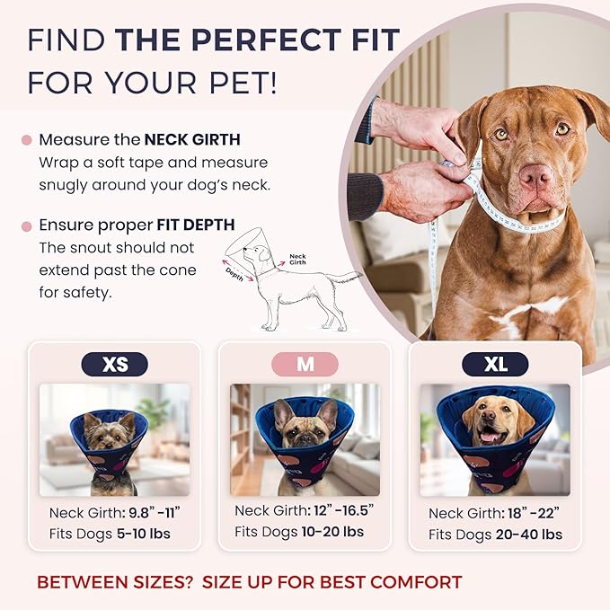 Ejona’s furryfamily Dog Recovery Cone – Soft & Adjustable Post-Surgery E-Collar for Comfort & Protection – Prevents Licking & Scratching – Easy Clean, Durable, Fits All Breeds