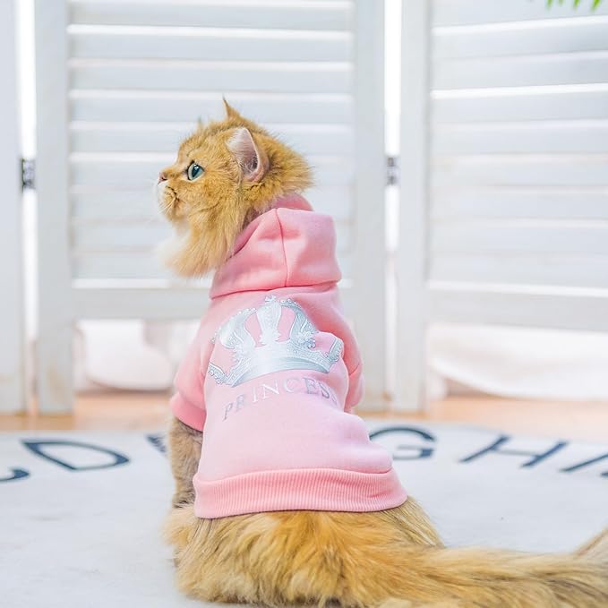 EXPAWLORER Princess Dog Soft Hoodie Sweater Fleece Sweatshirt Cold Weather Pet Clothes, Pink, Small Dog