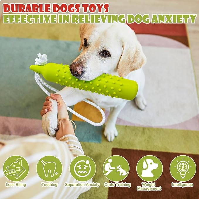 BINGPET Dog Float Bumper Toy,10.8 Inch Large Training Dummy Retrieving Bumpers Summer Pool Toy Tug Game for Large XL Dogs Retriever(Green)