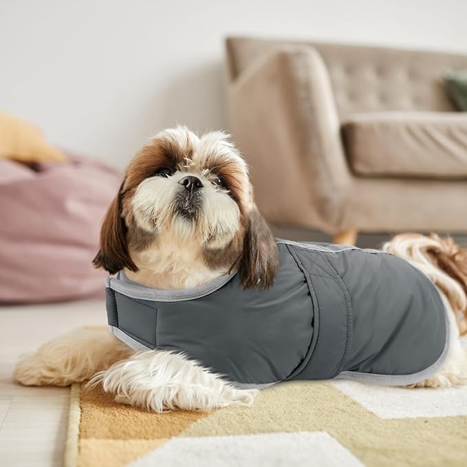 Queenmore Dog Winter Coat, Cold Weather Fleece Jacket for Dogs, Waterproof Reflective Reversible, for Small, Medium and Large Dogs (Grey, M)