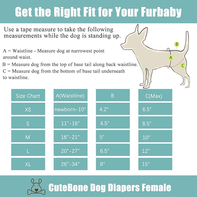 CuteBone Dog Diapers Female 3 Pack Reusable Doggy Diapers with One Suspender for Small Medium Large Dog Period BDD01L