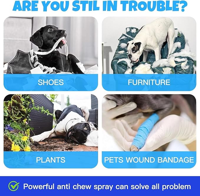 Bitter Apple Spray for Dogs: 100ML Natural Alcohol-Free Bitter Spray for Dogs to Stop Chewing Licking, Deterrent Spray for Puppy Training Protect Furniture, Shoes, Cords Indoor/Outdoor Use (100ML)