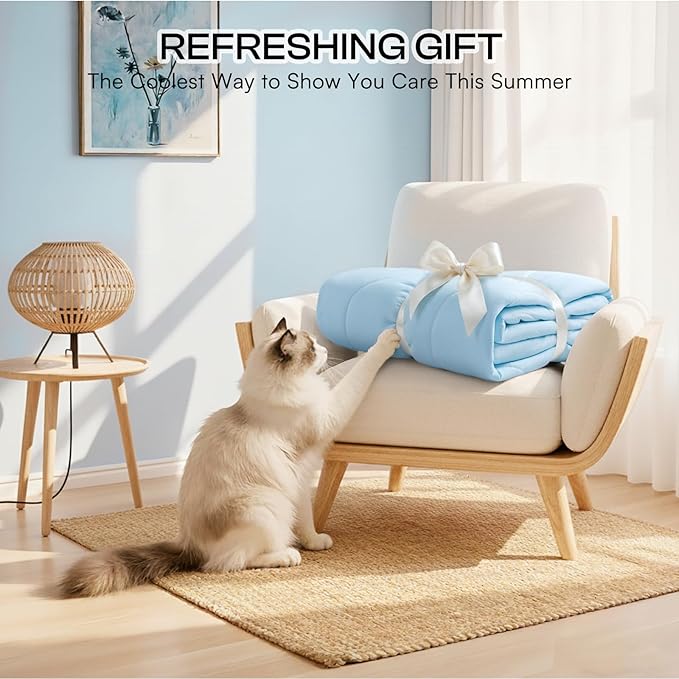 Luciphia Premium Cooling Dog Blanket Washable Q-MAX>0.5 Small Medium Large Pet Mat Puppy Cat Self-Cooling Soft Breathable Calming Throw for Sofa Crate Bed (Light Blue,40x60 inches)