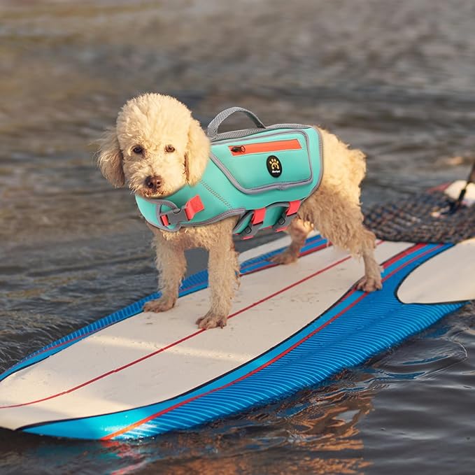 Dog Life Jacket for Puppy Small Dogs, High Buoyancy Dog Swim Vest with D-Ring, Adjustable Dogs Lifevest Swimsuit with Reflective Stripes, Pet Safety Vest for Swimming Boating, Turquoise, XXS