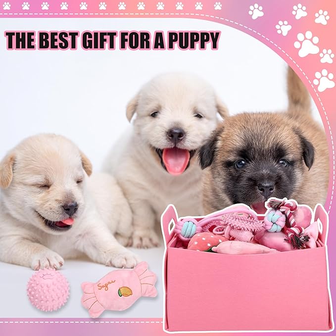 Abbylike 75 Pcs Puppy Supplies Starter Kit for Small Dogs New Puppy Essentials Starter Kit Pink for School Dog Toys Includes Dog Leash, Bowl, Brushes, Water Bottles, Christmas Welcome Home Gift