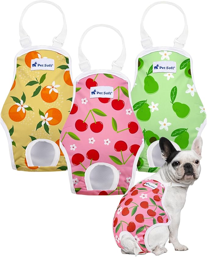 Pet Soft Dog Diapers Female Onesie Sanitary Pantie with Adjustable Suspender, Colorful Pattern Washable Puppy Diapers Female, Super Absorbent Underwear Dog Diaper for Heat (Fruit, XL)