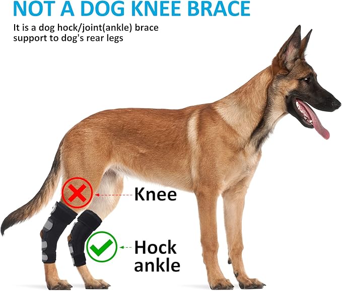 Dog Leg Brace for Rear Legs, Canine Hind Hock Brace, Joint Compression Warps Support for Back Leg with Injury Sprain, Wound Care and Loss of Stability from Arthritis Torn ACL CCL(1 Pair)