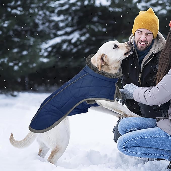 Fragralley Dog Coat Large, Waterproof Dog Jacket with Warm Fleece Lining, Adjustable Reflective Dogs Winter Coat, Turtleneck Pet Coats for Cold Weather (Blue L)