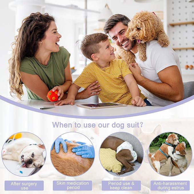 Etdane Dog Diapers Sanitary Panties Physiological Period Onesies for Male and Female Dogs Pink Koala/S