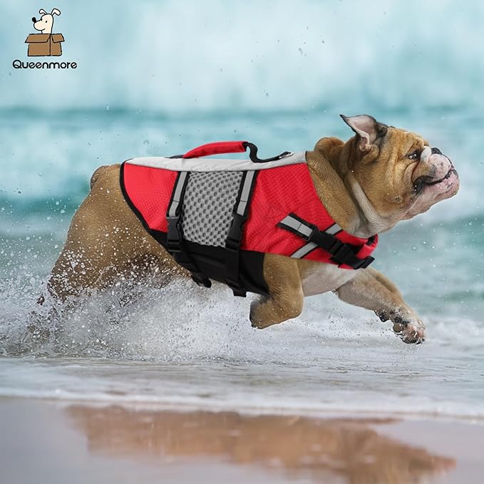 Queenmore Dog Life Jacket Swimming Vest Small Medium Dogs Neoprene Life Vest Lightweight Reflective Dog Lifesaver for Boating Kayaking Red,S