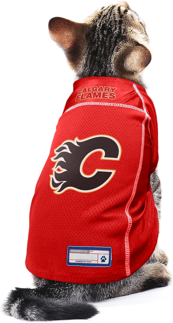 Littlearth NHL Detroit Red Wings Basic Pet Jersey, Team Color