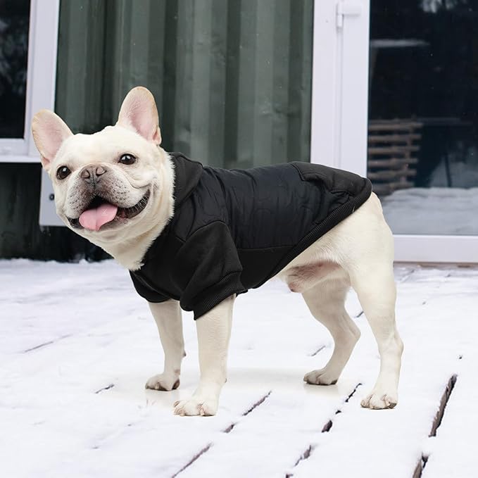 KOOLTAIL Warm Dog Winter Coat for Small Dogs, Waterproof Puppy Jacket with Leash Hole, Cold Weather Pet Vest for Winter, Soft Pet Hoodie Sweater Sweatshirt Clothes for Puppy Cats Girls Boys Black S