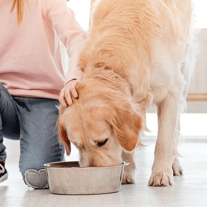 Dog Bowls, 2 Stainless Steel Dog Bowl with Mat, Dog Bowls with Nonslip EVA Rubber Bottom Ring, Food & Water Bowl for Dogs, Cats, A Variety of Sizes are Available, Dishwasher Safe