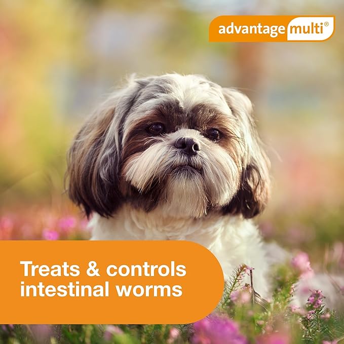Advantage Multi Topical Solution for Dogs 6 Doses, 3-9 lbs (Green)