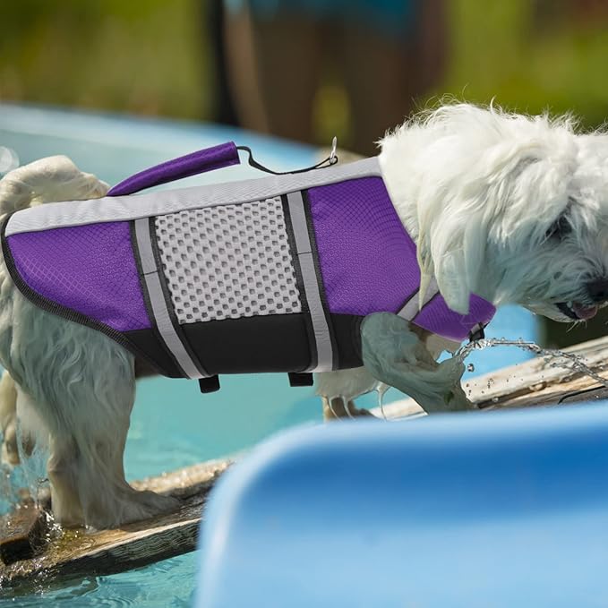 Queenmore Dog Life Jacket Swimming Vest Lightweight High Reflective Pet Lifesaver with Lift Handle, Leash Ring Purple,XS
