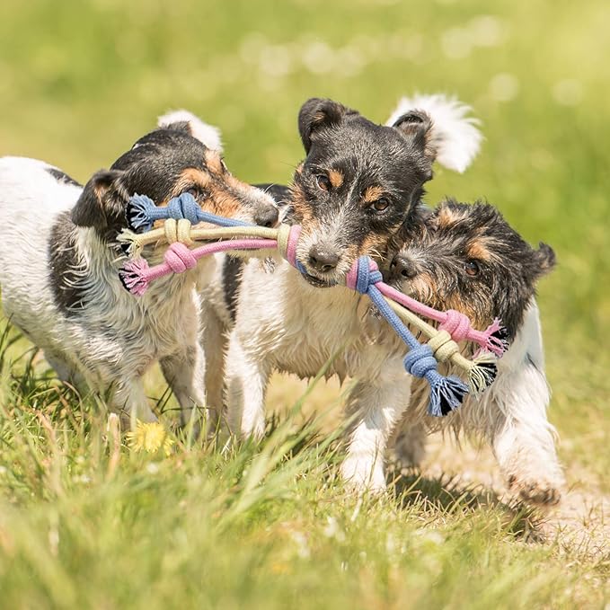 Puppy Chew Toys - Interactive Teething Dog Rope Toy & Balls for Small Dogs