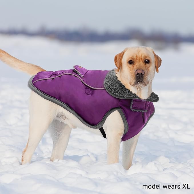 Dog Winter Coat - Warm Dog Clothes for Rain Snow Wind Cold Weather - Reflective Purple Adjustable Windproof Pet Vest Jacket with Leash Hole for Small Medium Large Dogs Indoor Outdoor